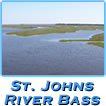St. Johns River Bass and Bream